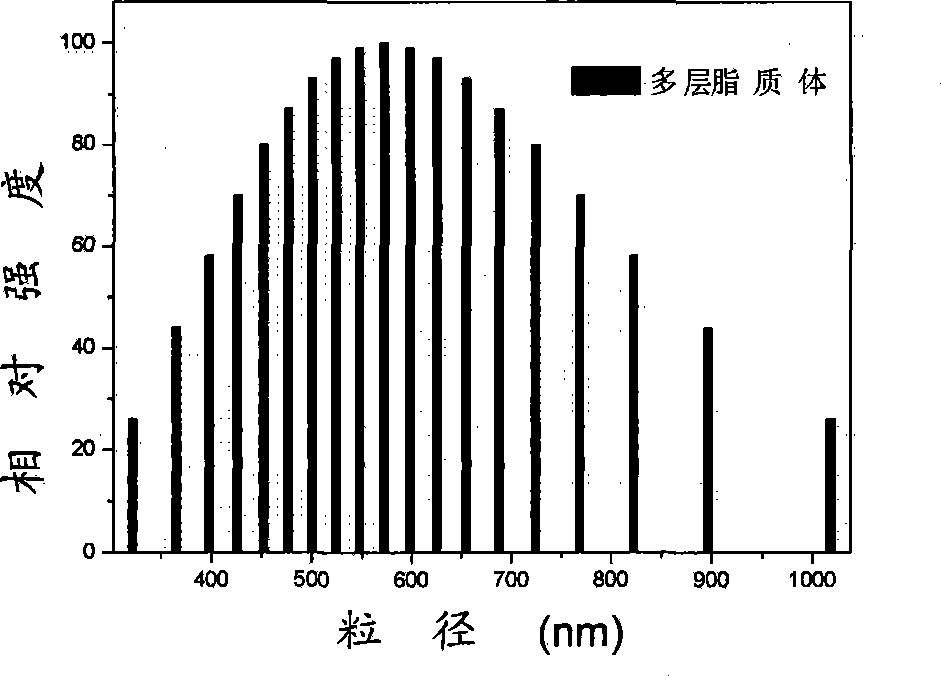 Hypocrellin liposome preparation and preparation method thereof