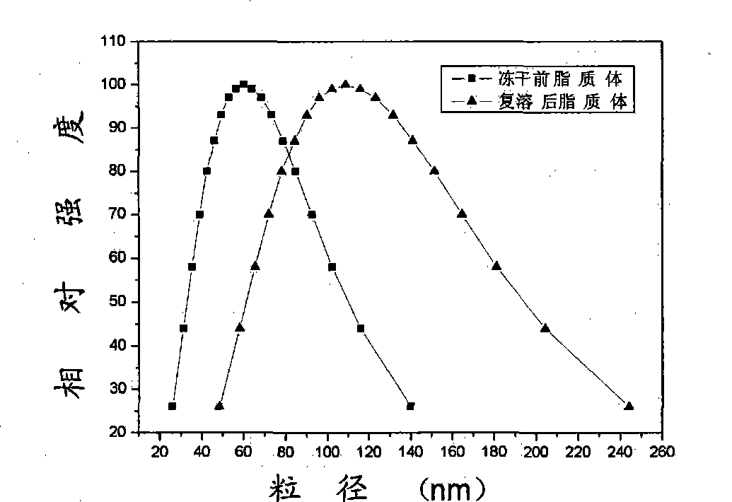 Hypocrellin liposome preparation and preparation method thereof