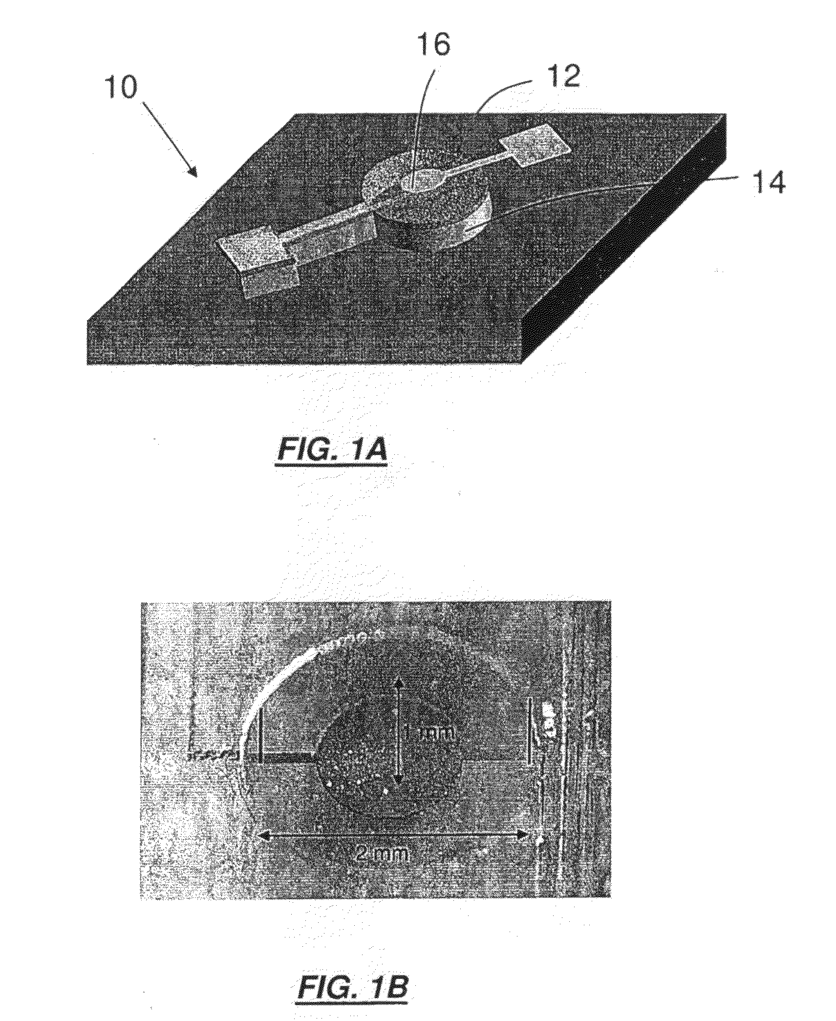 Carbon nanotube-quartz resonator with femtogram resolution