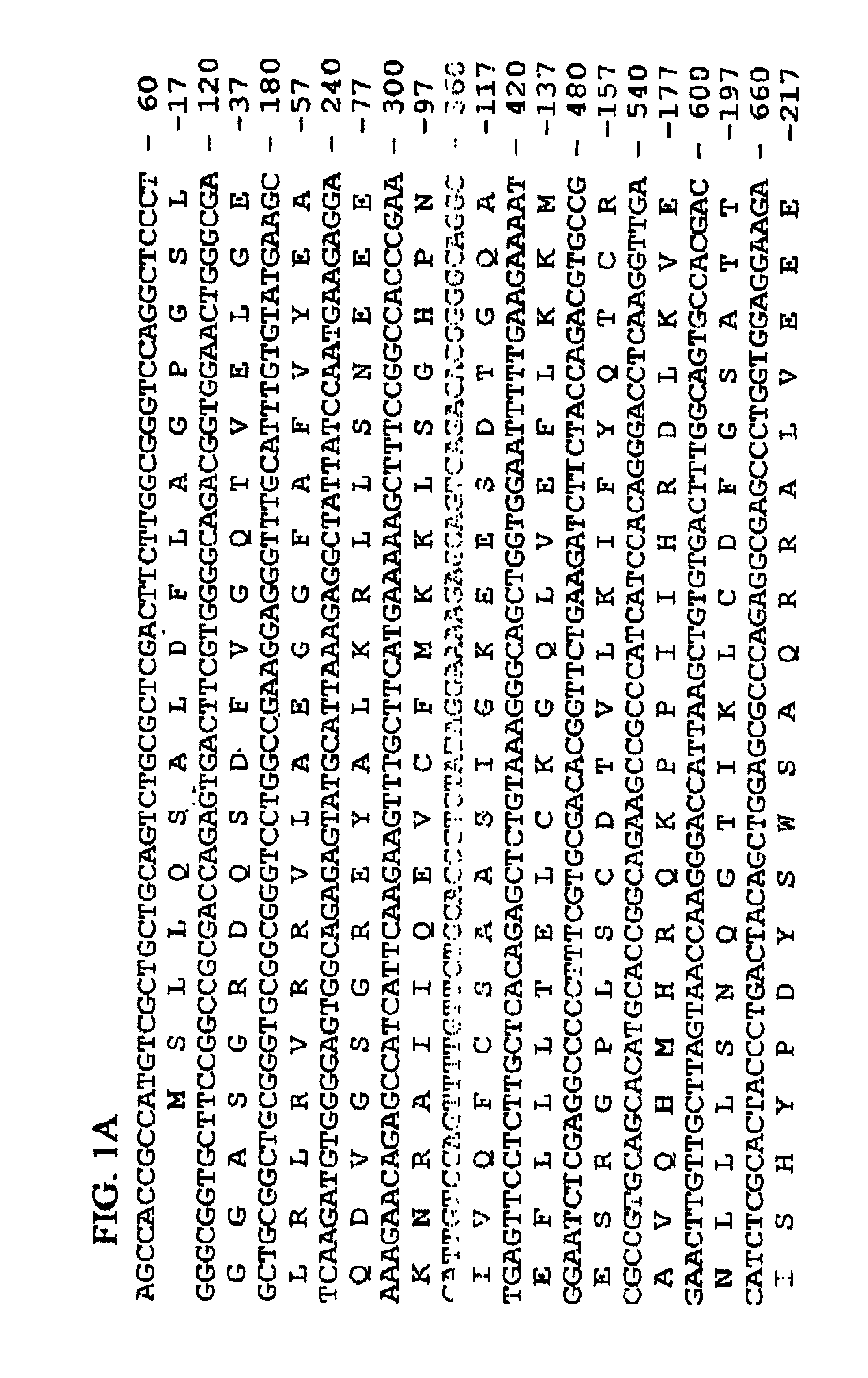 Human GAK-related gene variants associated with lung cancer