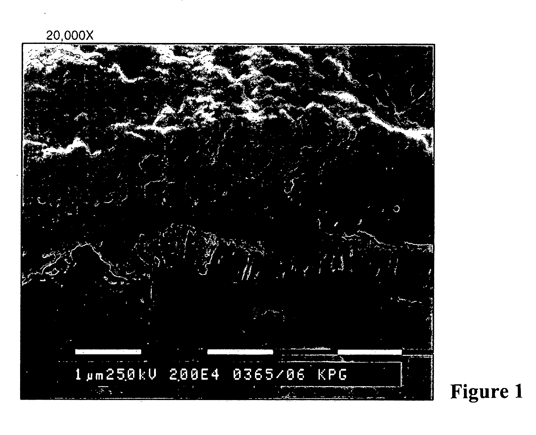 Printing plates using binder resins having polyethylene oxide segments