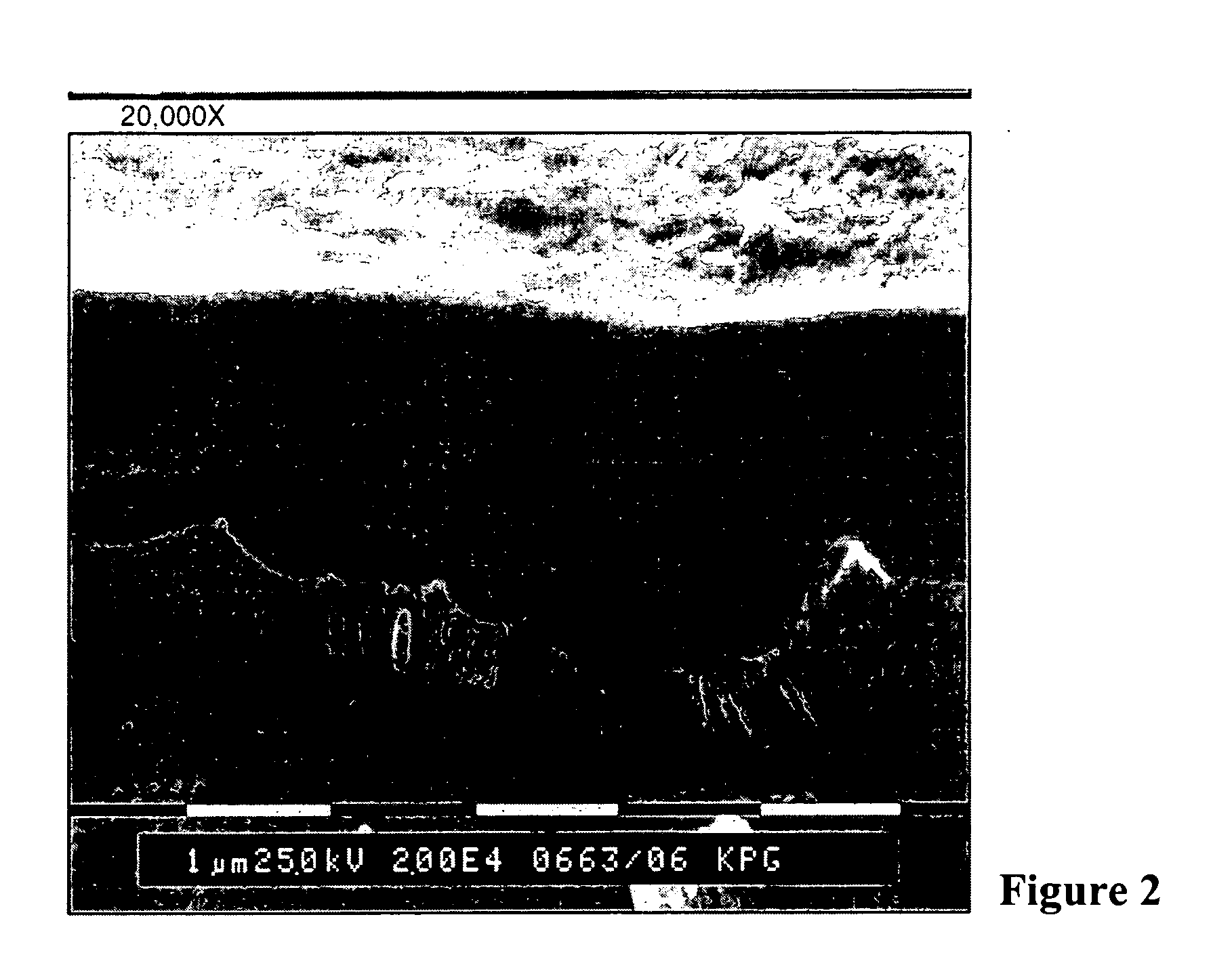 Printing plates using binder resins having polyethylene oxide segments