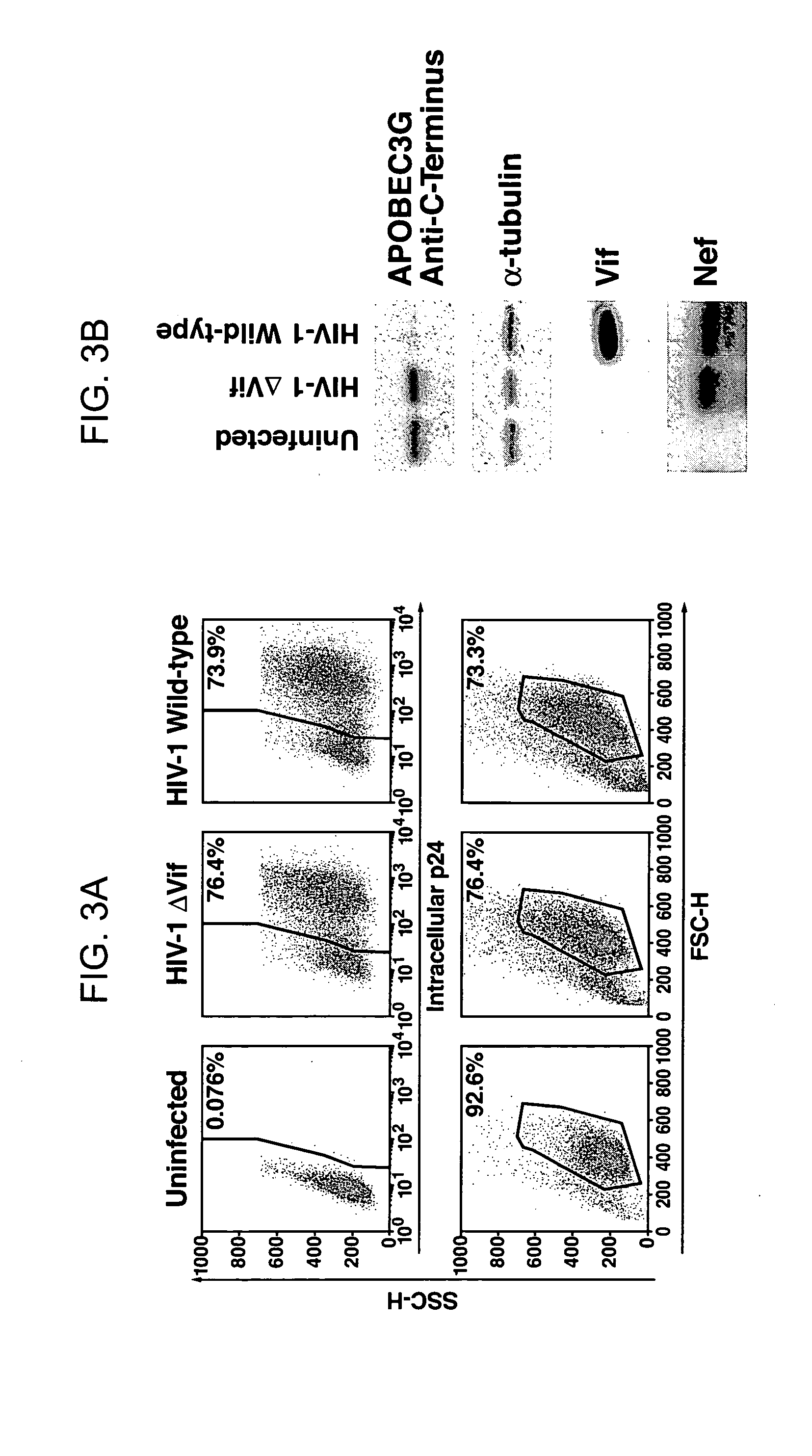 Methods for treating lentivirus infections