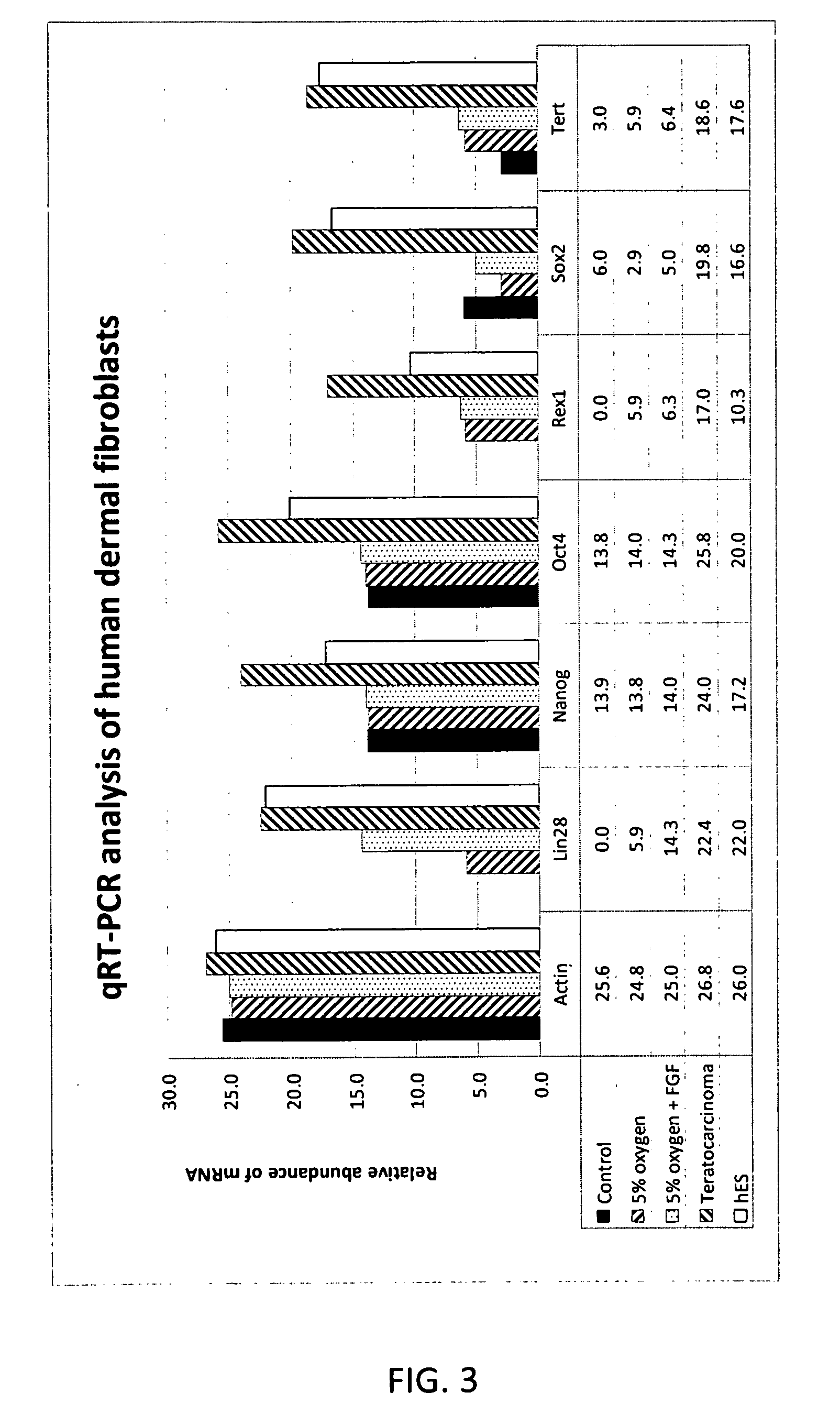 Novel use of basic fibroblast growth factor in the de-differentiation of animal connective tissue cells