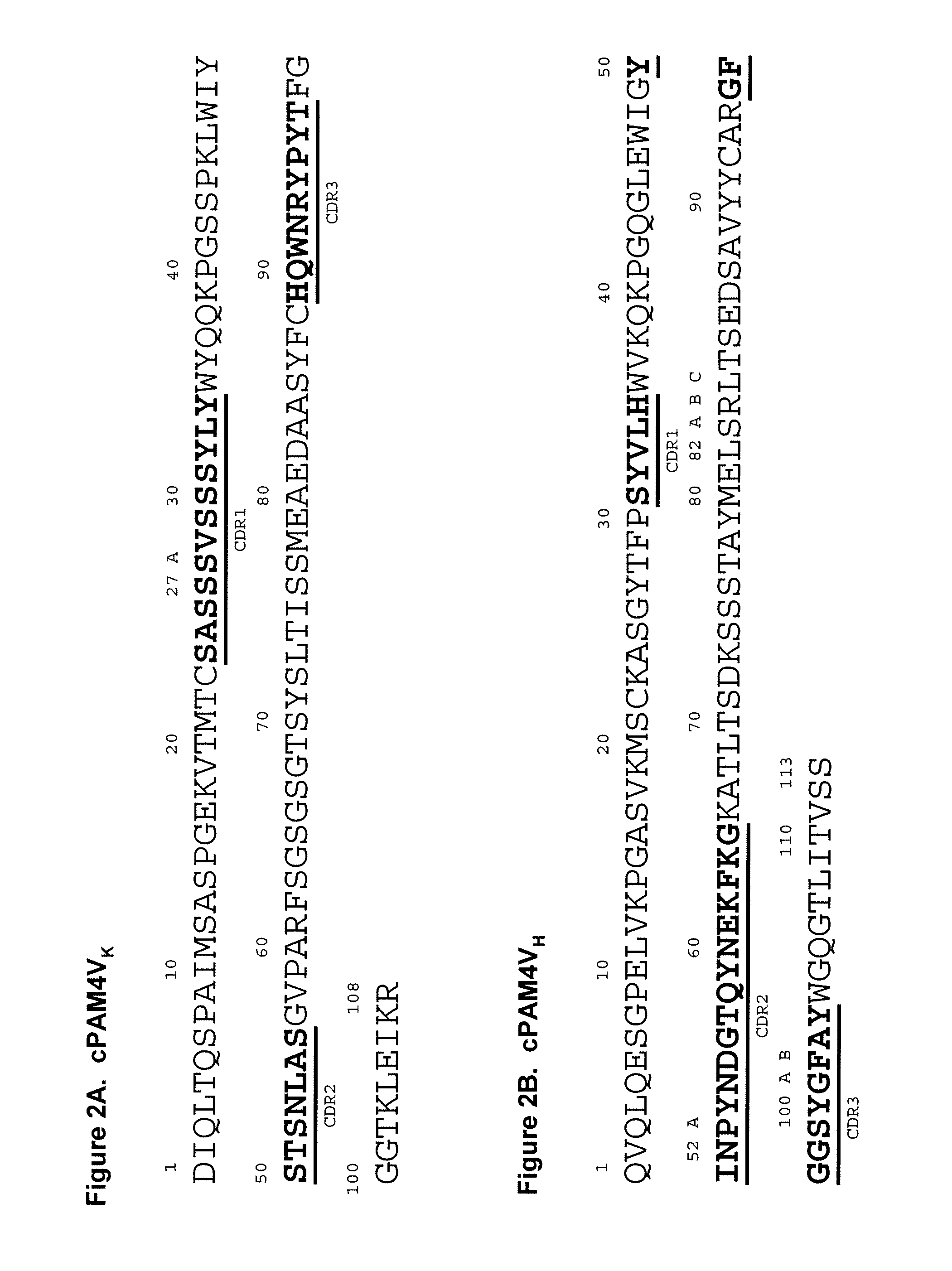 Anti-mucin antibodies for early detection and treatment of pancreatic cancer