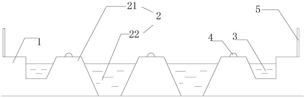 A kind of three-dimensional ecological breeding method of vegetable and crab in vegetable field