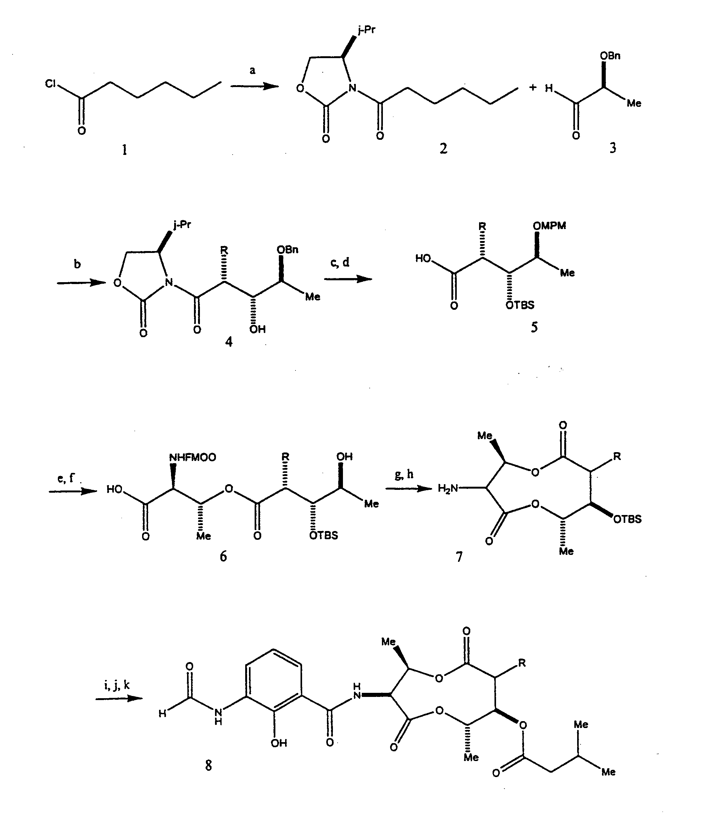 COMPOSITIONS AND METHODS FOR MODULATING APOPTOSIS IN CELLS OVER-EXPRESSING Bcl-2 FAMILY MEMBER PROTEINS