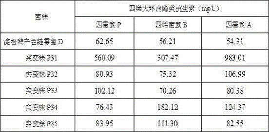 Method for improving output of tetraene macrolide antibiotics