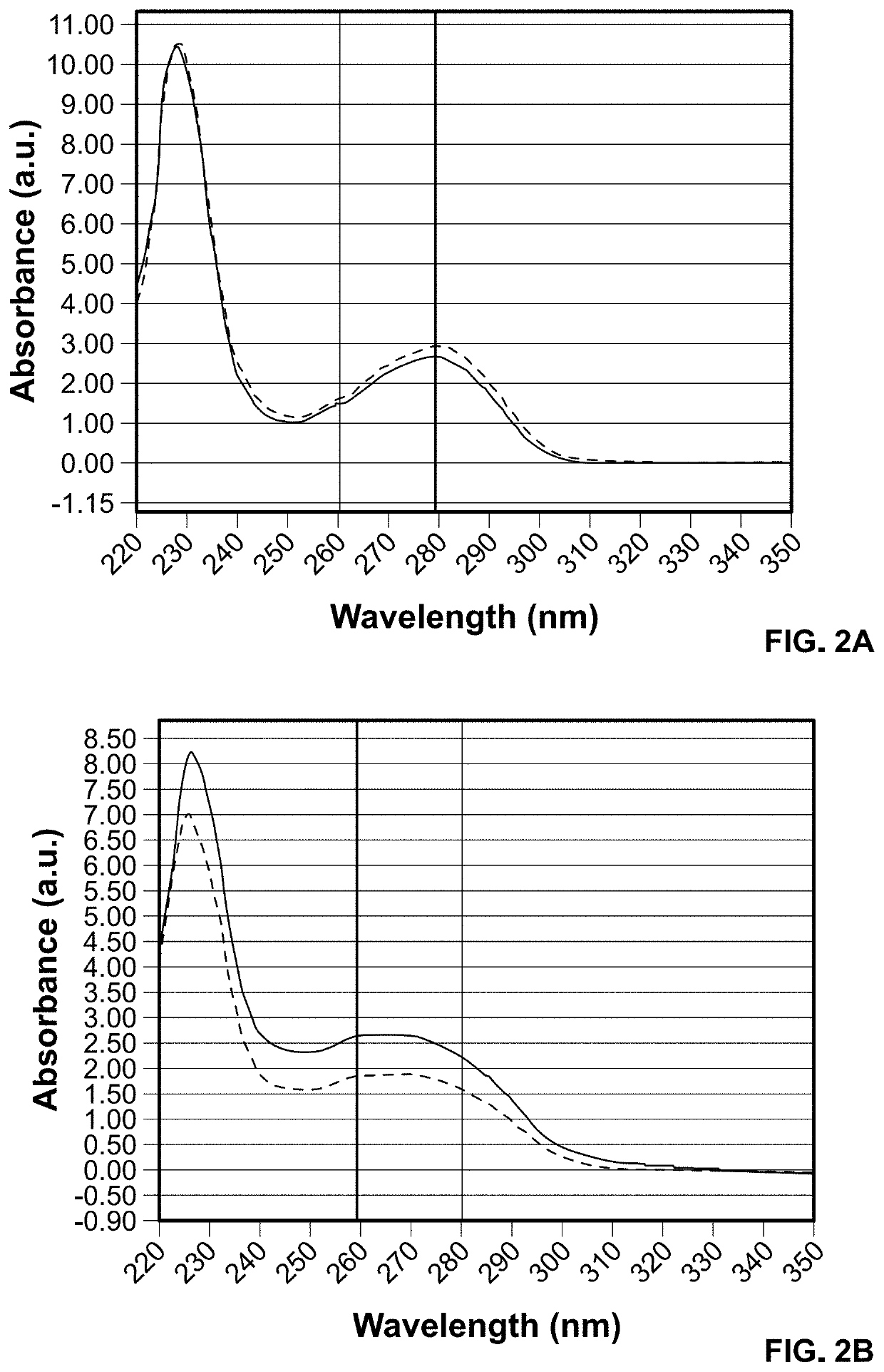 Peptide nucleic acid conjugates