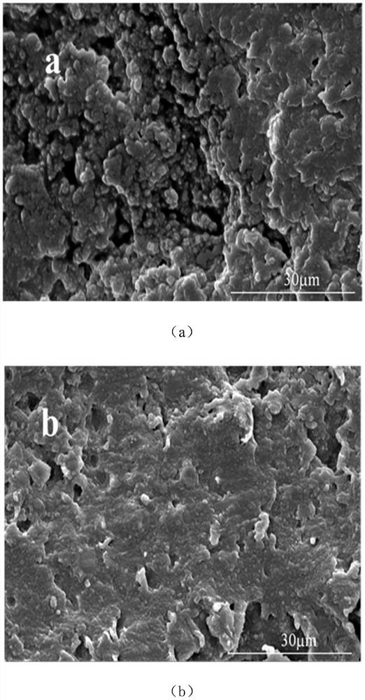 A kind of preparation method of ultra-tough bio-based polyurethane composite material