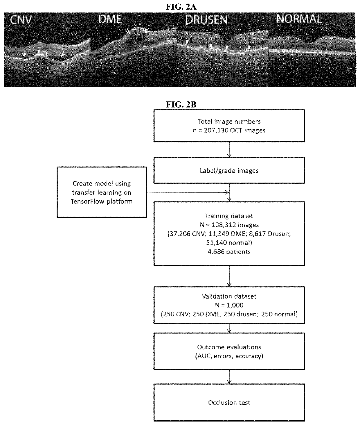 Deep learning-based diagnosis and referral of ophthalmic diseases and disorders