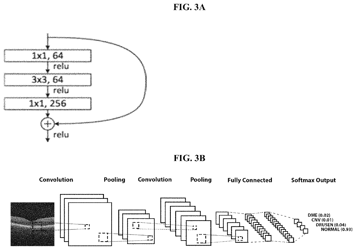 Deep learning-based diagnosis and referral of ophthalmic diseases and disorders