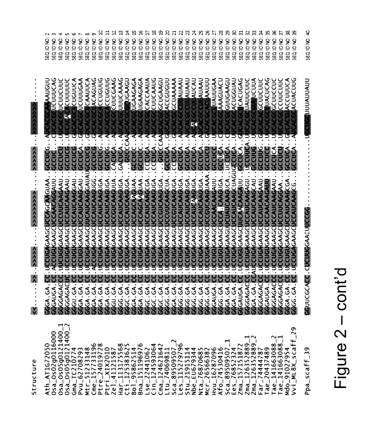 P5SM suicide exon for regulating gene expression