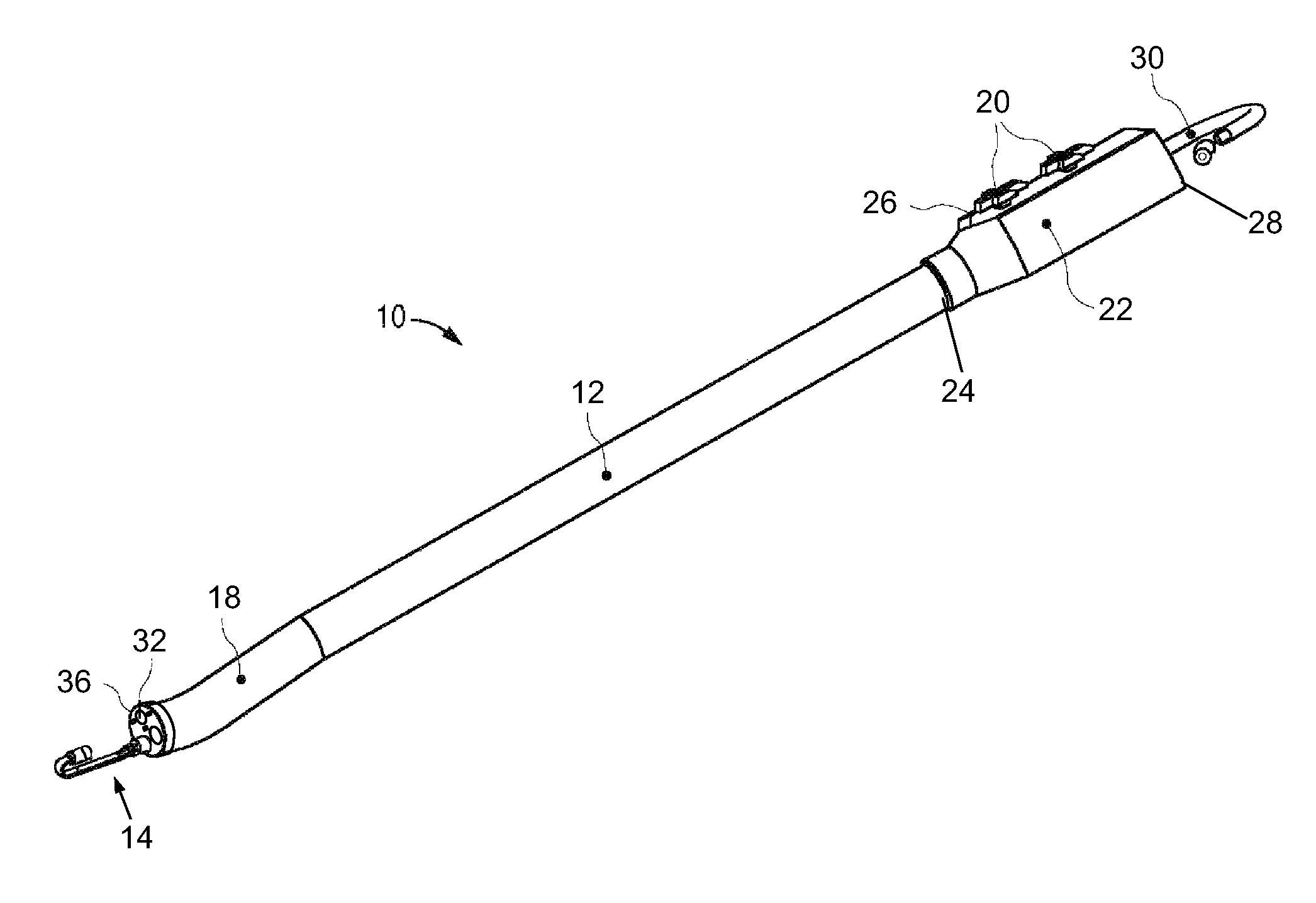 Endoscope assembly with a polarizing filter