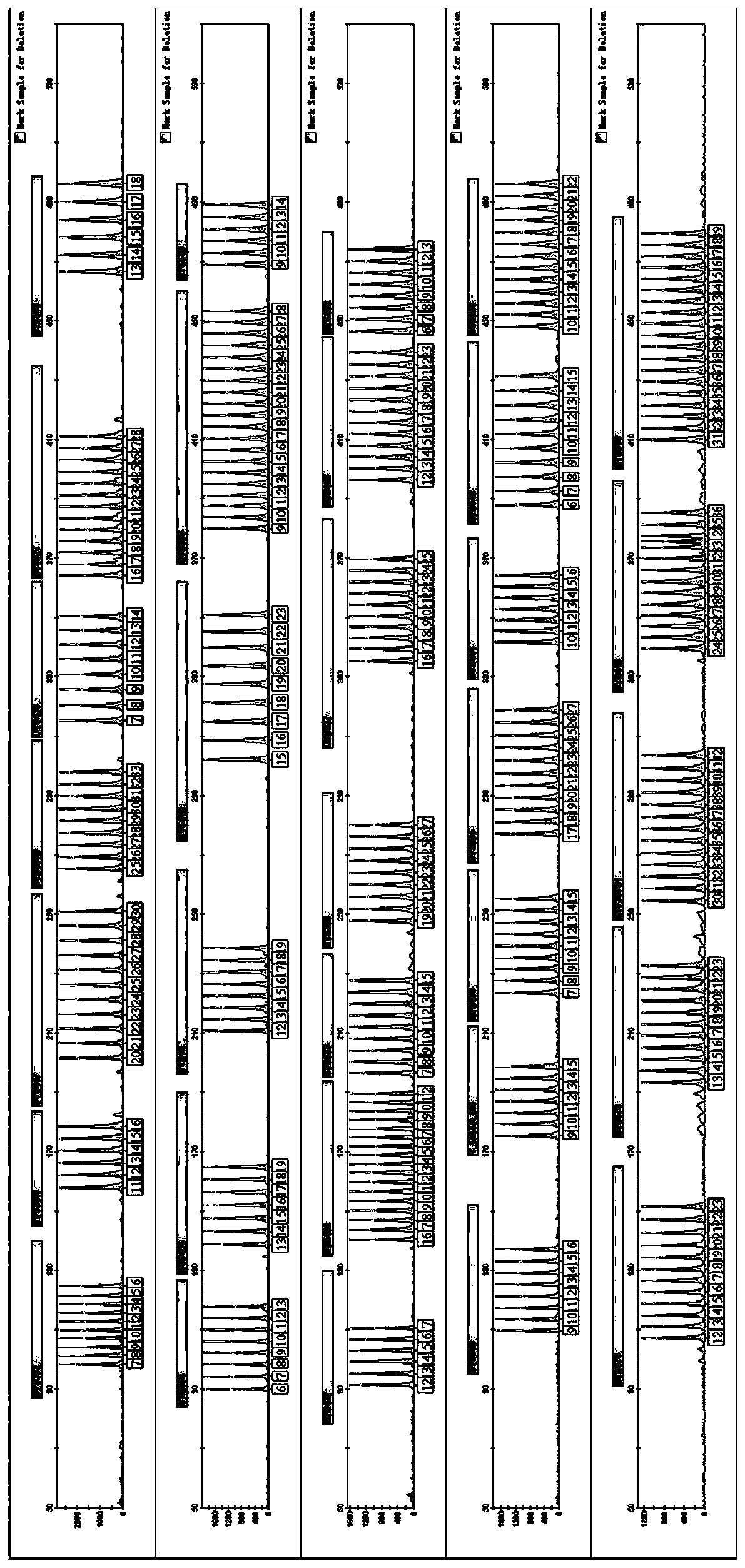 Fluorescently-labeled multiplex amplification kit for 35 STR loci of human Y chromosome and application of fluorescently-labeled multiplex amplification kit