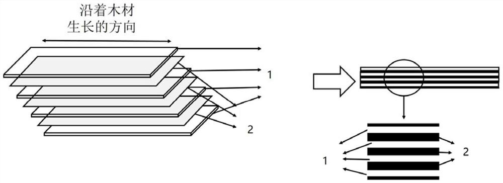 Preparation method of wood-reinforced thermoplastic resin-based environment-friendly formaldehyde-free composite material