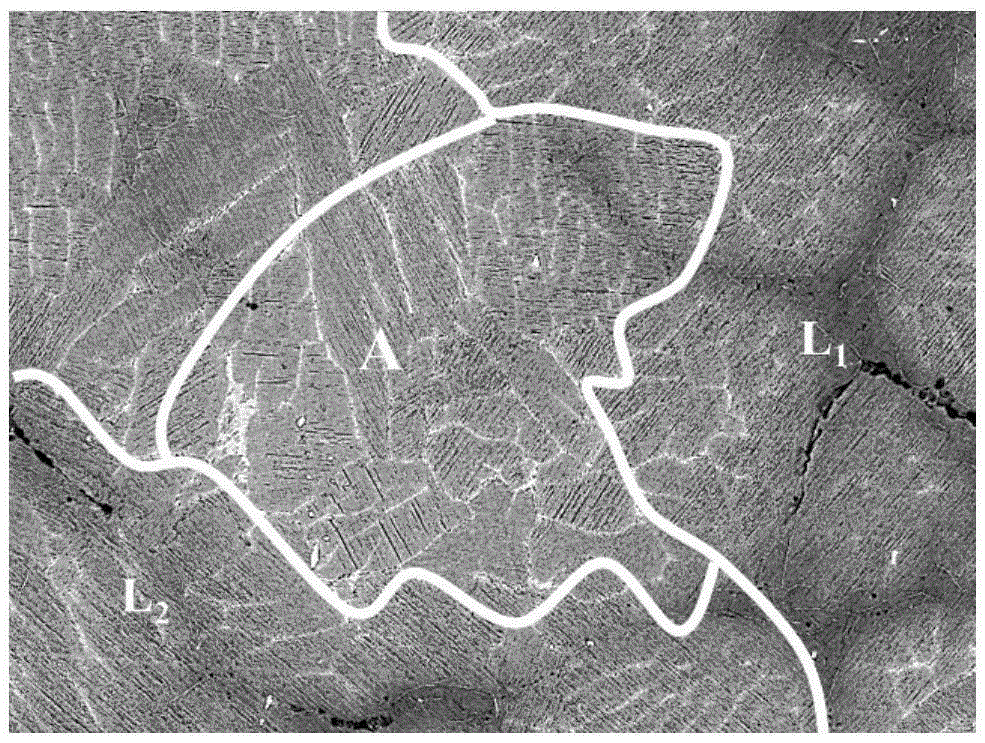 Method for low segregation and uniform microstructure refinement of high niobium titanium aluminum alloy