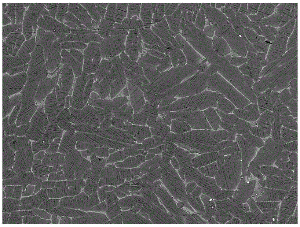 Method for low segregation and uniform microstructure refinement of high niobium titanium aluminum alloy