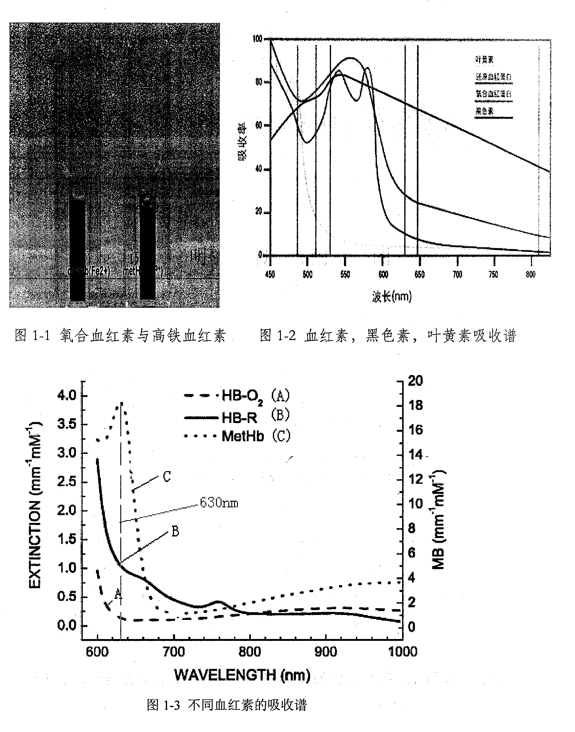 Skin Vascular Disease Therapy Apparatus with Dye Conversion