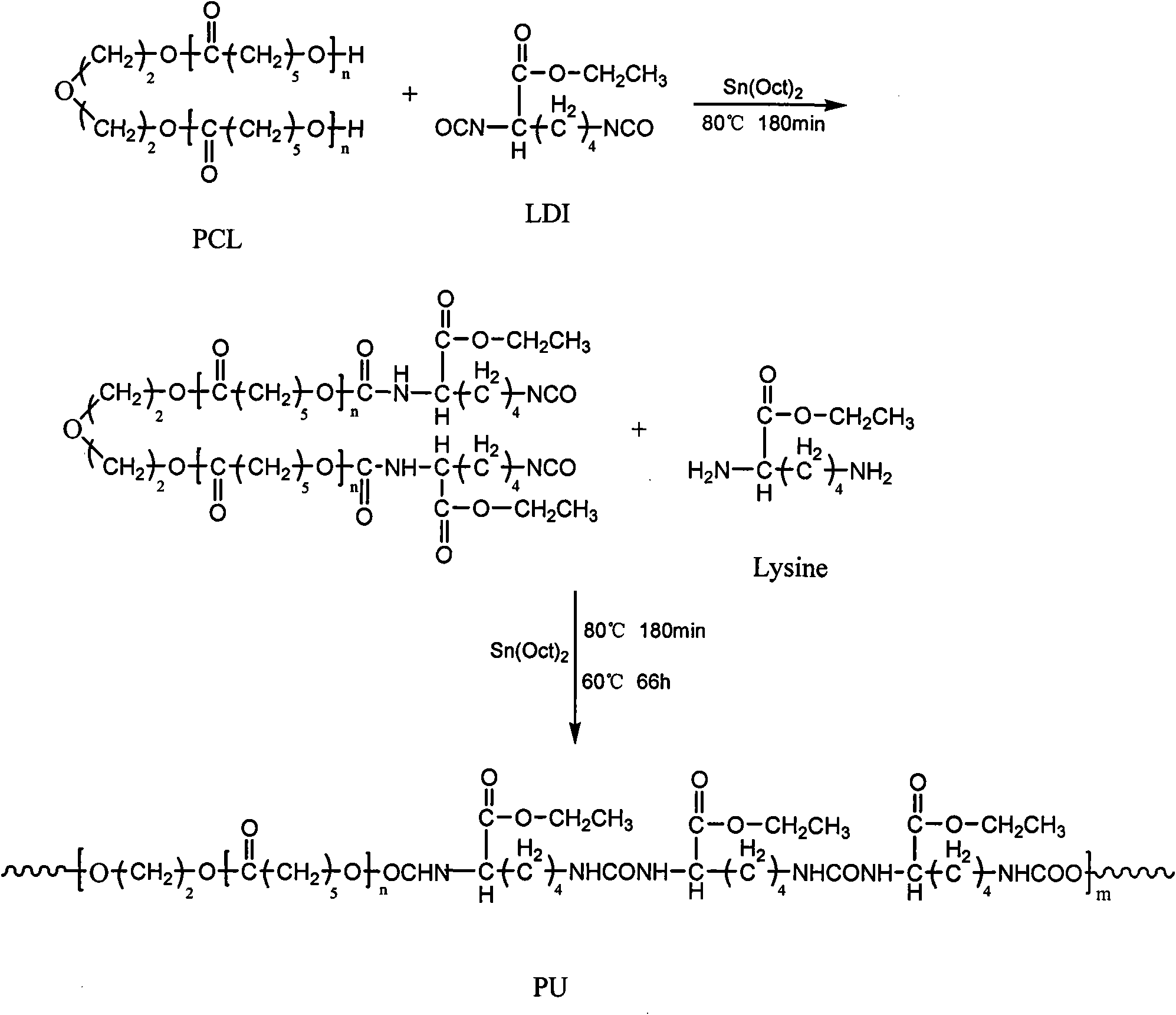 Degradable and nontoxic medical polyurethane material and preparation method thereof