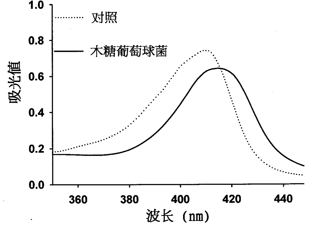 Staphylococcus xylosus a2 can convert metmyoglobin to produce new uses of nitrosomyoglobin