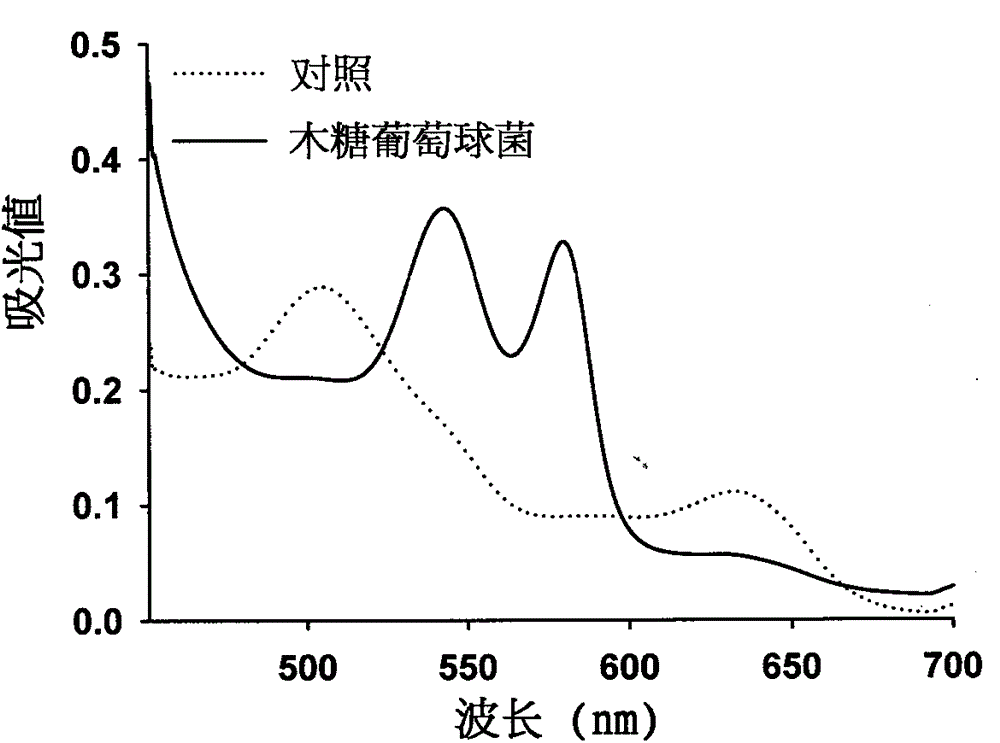 Staphylococcus xylosus a2 can convert metmyoglobin to produce new uses of nitrosomyoglobin