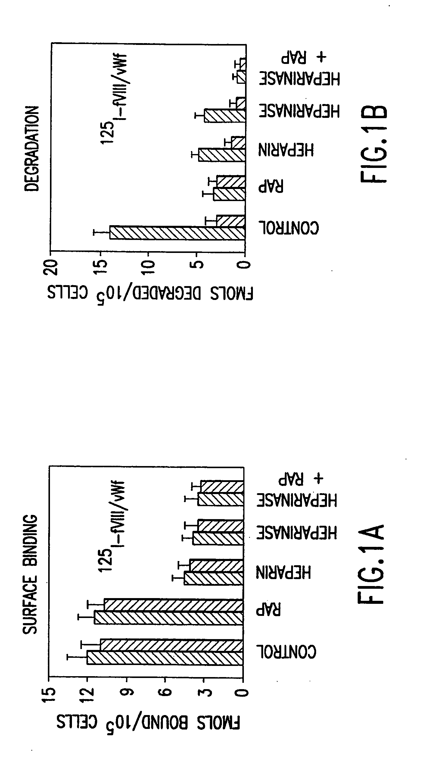 Factor VIII compositions and methods