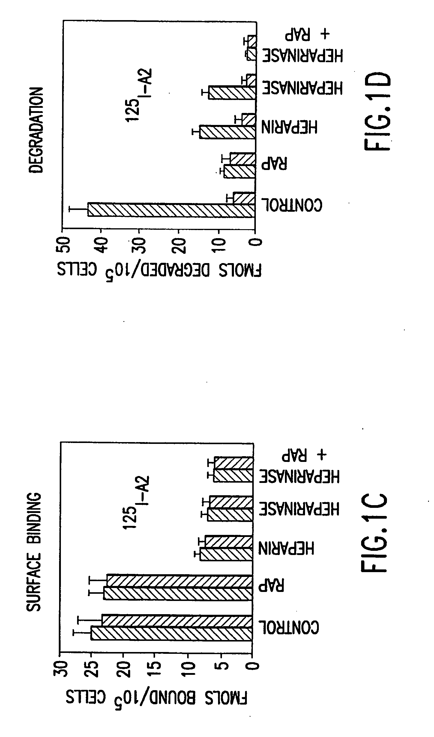 Factor VIII compositions and methods