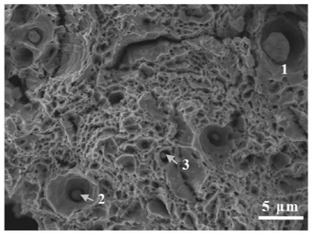 Method for detecting nonmetallic inclusions in steel