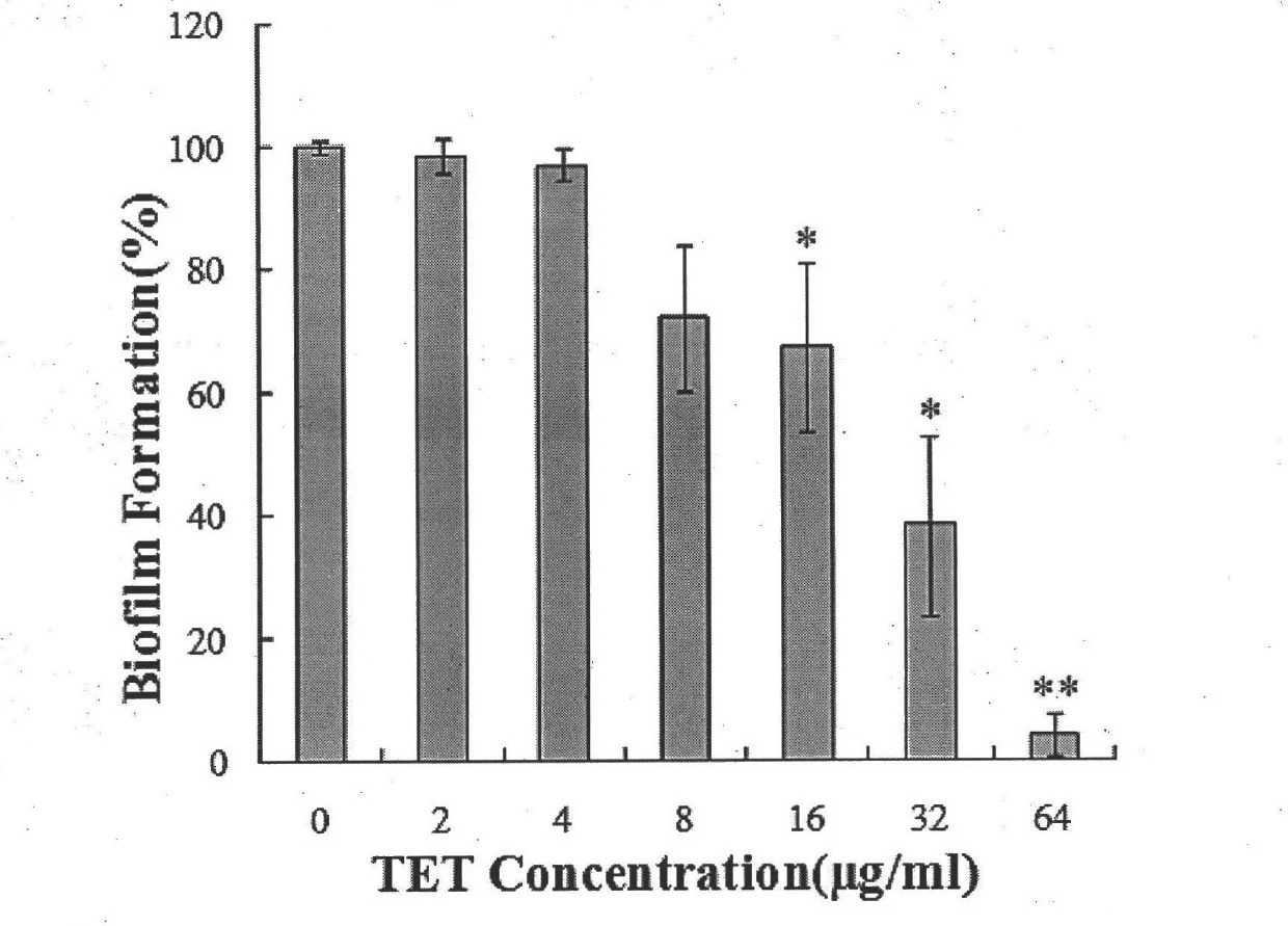 New application of tetrandrine in fungal bio-film resistance