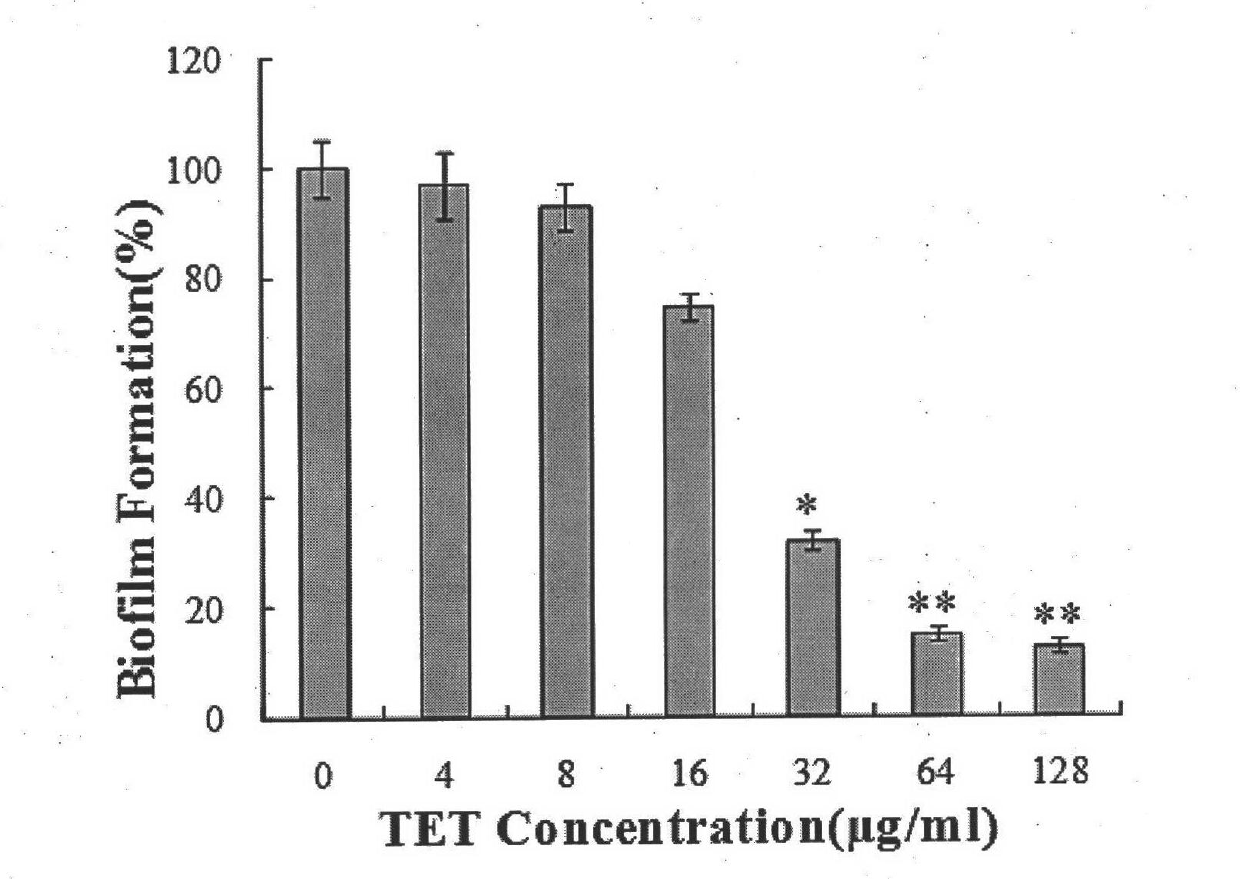 New application of tetrandrine in fungal bio-film resistance