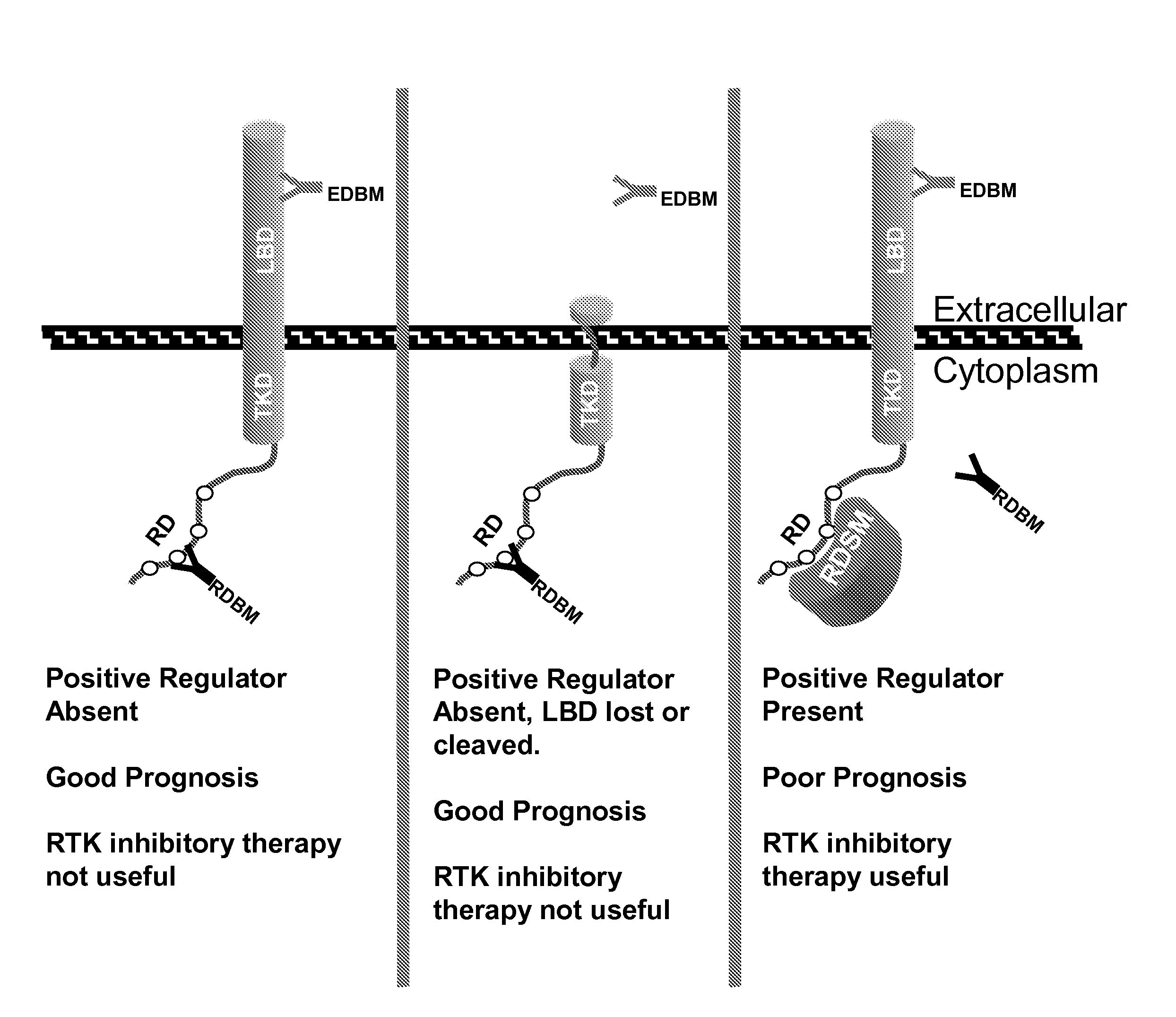 Method of identifying diagnostic reagents