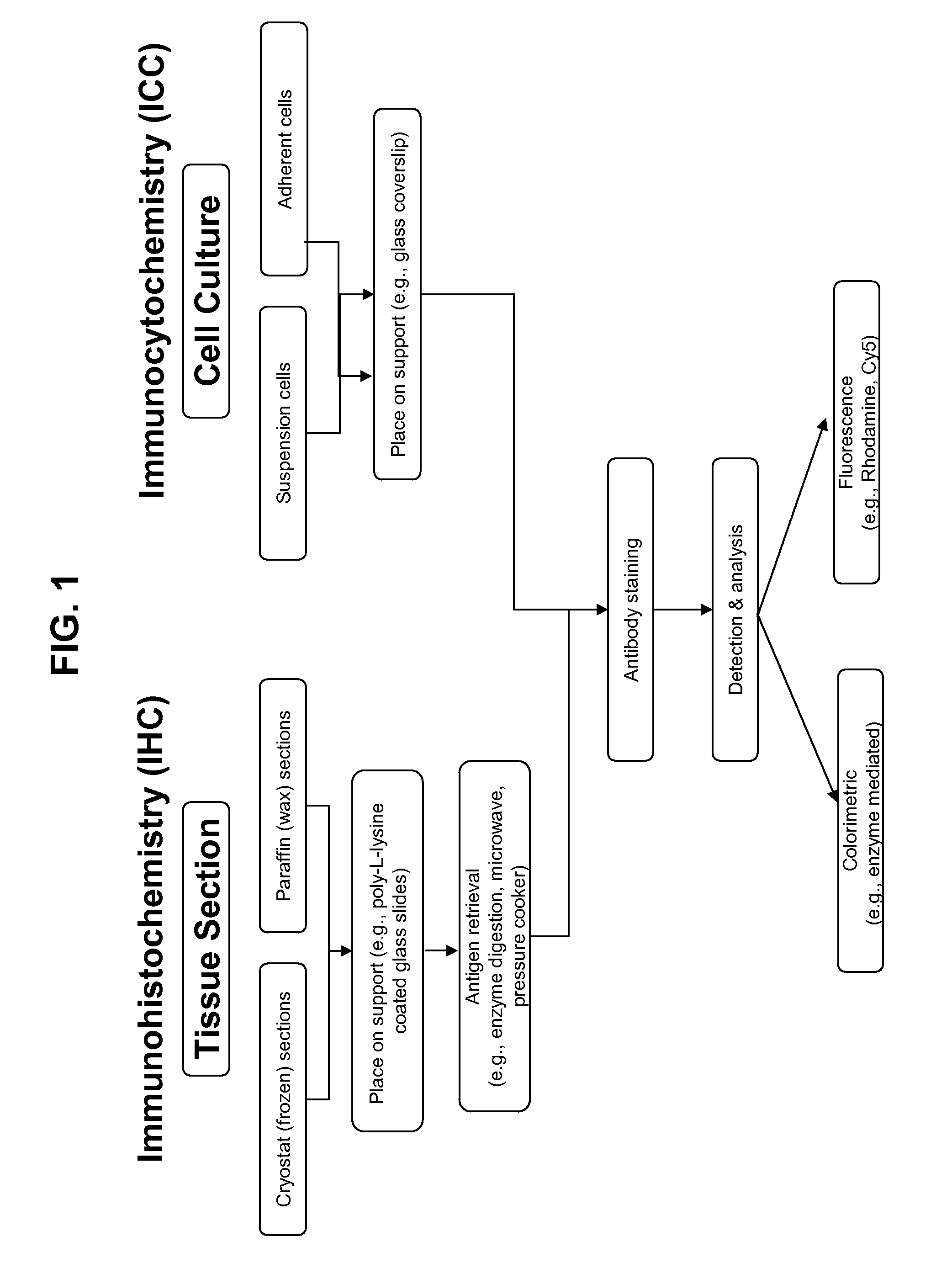 Method of identifying diagnostic reagents