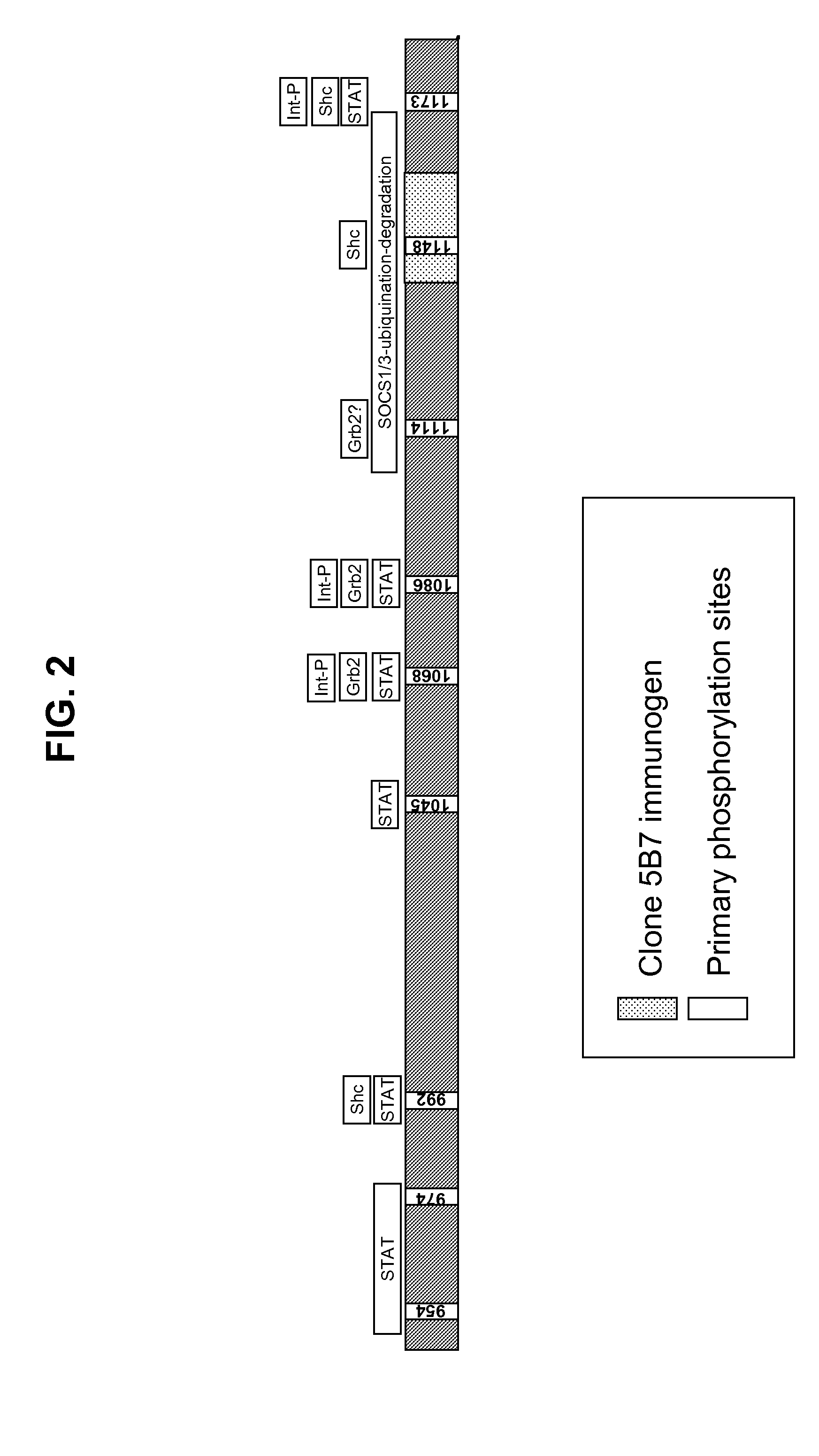 Method of identifying diagnostic reagents