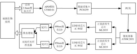 Optical fiber near-infrared spectrometer