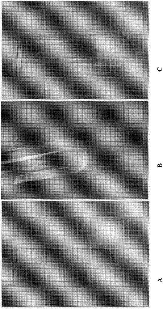 Microbial fermentation methods and compositions