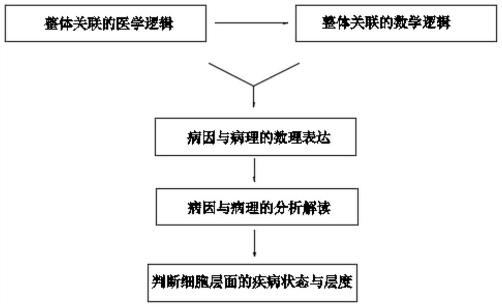 Ovarian and cervical cancer postoperative cancer cell monitor based on overall association medical logic and use method