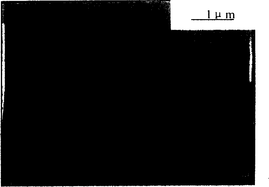 Method for preparing one-dimensional nanostructure in anode alumina template