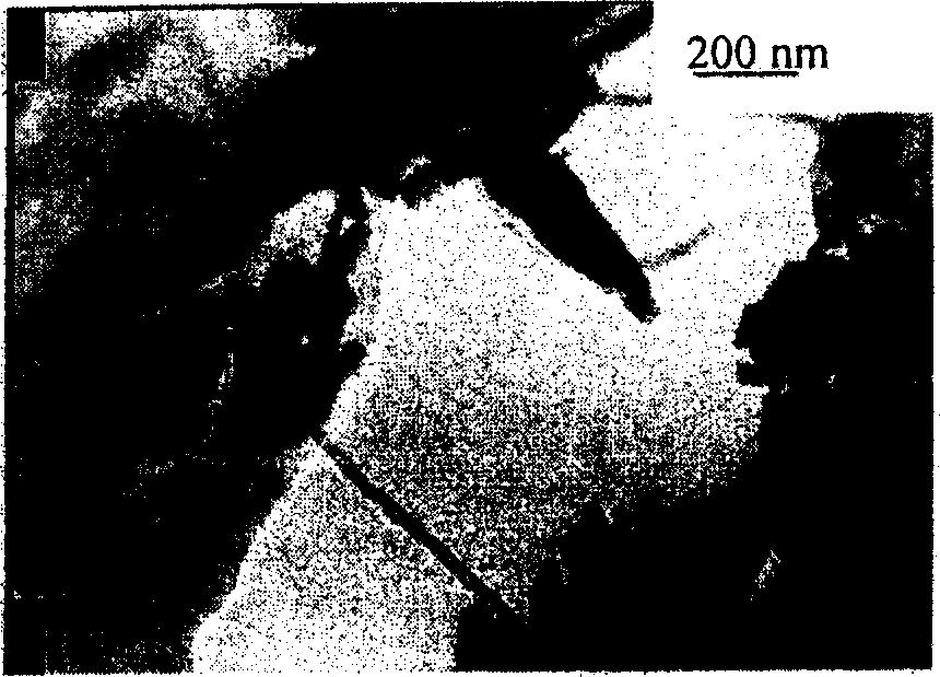 Method for preparing one-dimensional nanostructure in anode alumina template