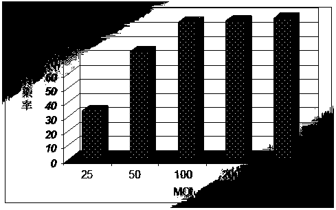 Application of p53 gene in reversing the malignant characteristics of oral mucosal malignant melanoma cells and its in vitro evaluation method