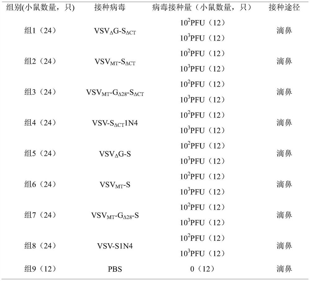 Recombinant VSV virus for expressing SARS-CoV-2 spike protein (S) or variant thereof, and construction and application thereof