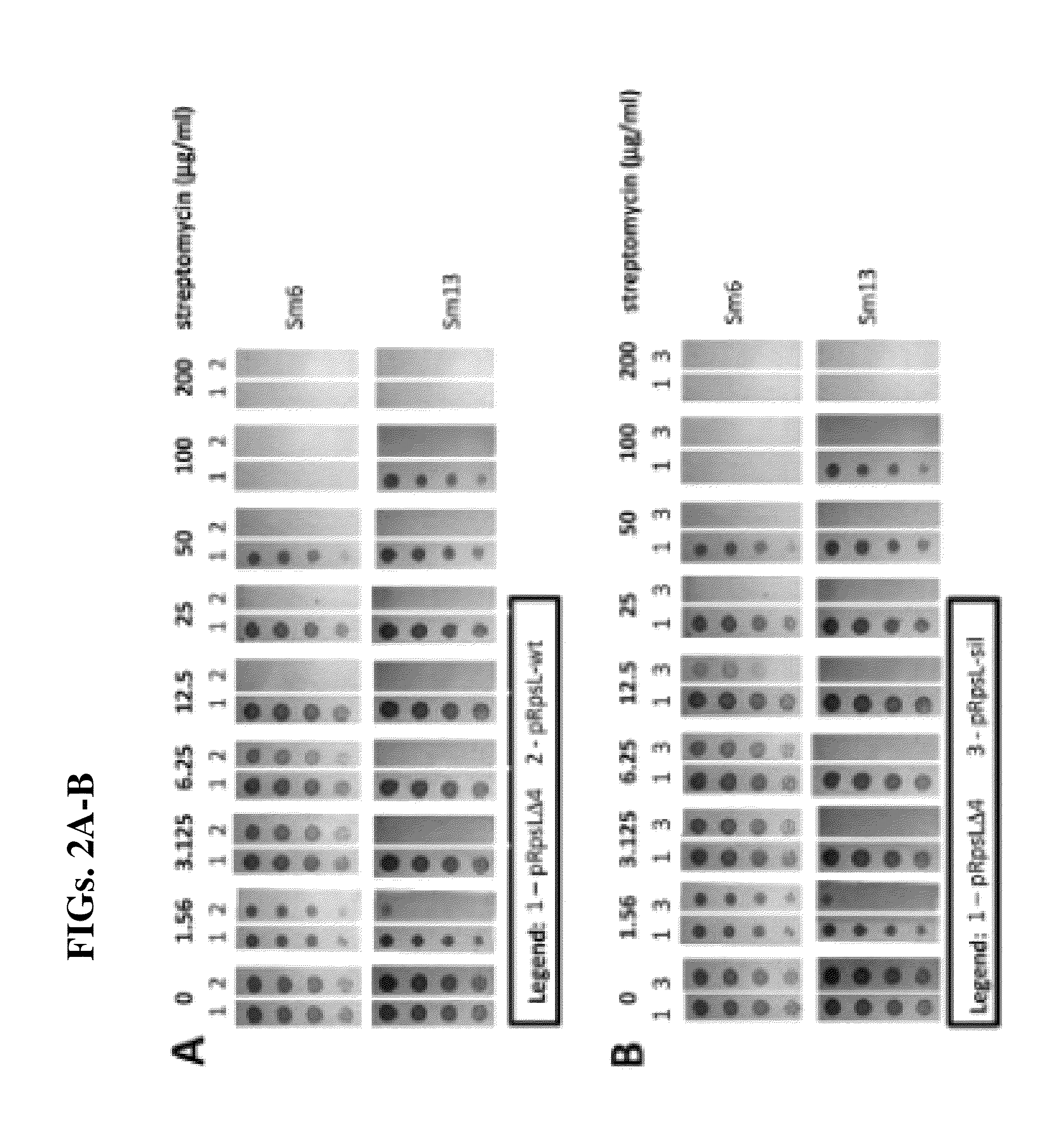 Bacteriophages for reducing toxicity of bacteria