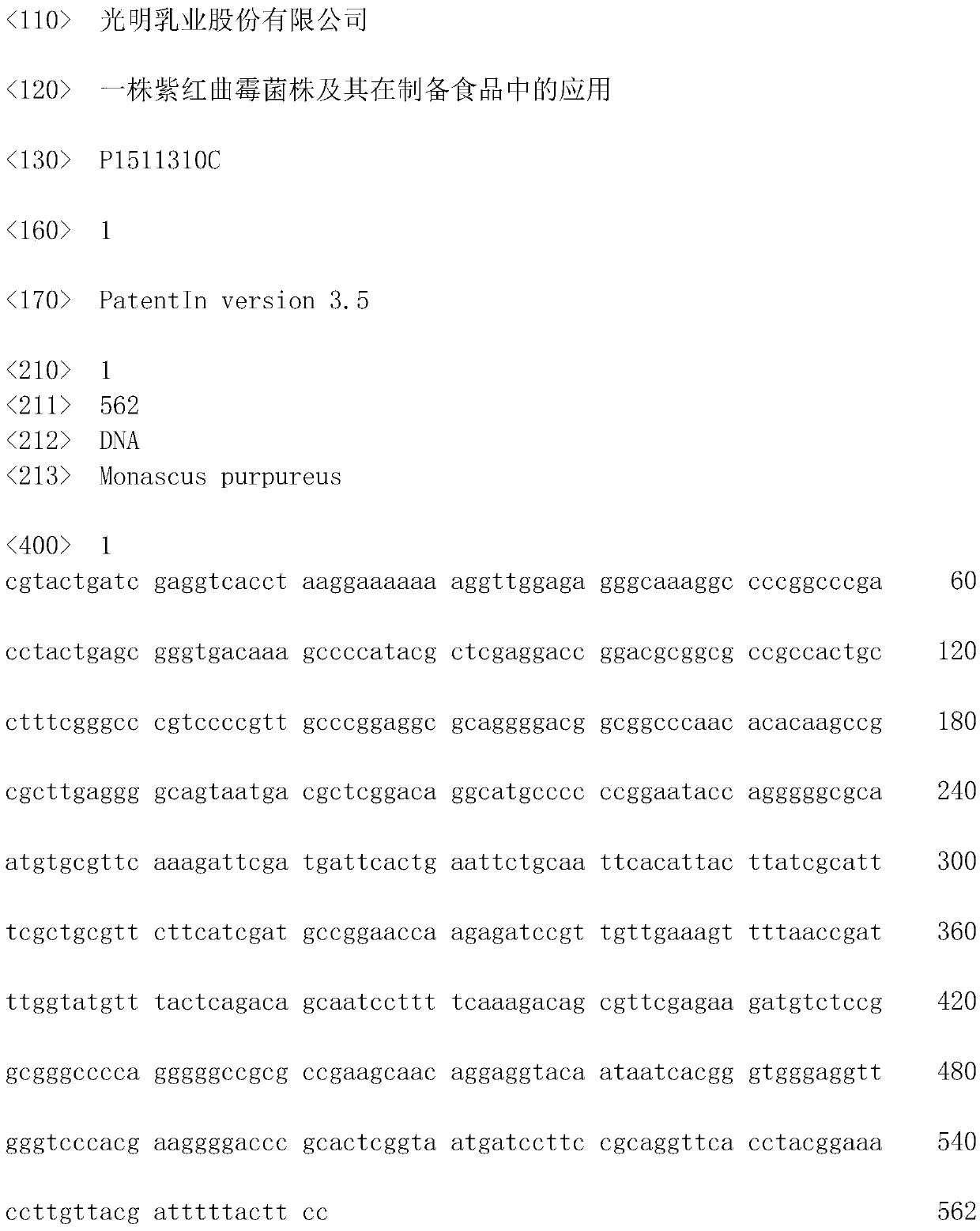 Monascus purpureus strain and application thereof to food preparation