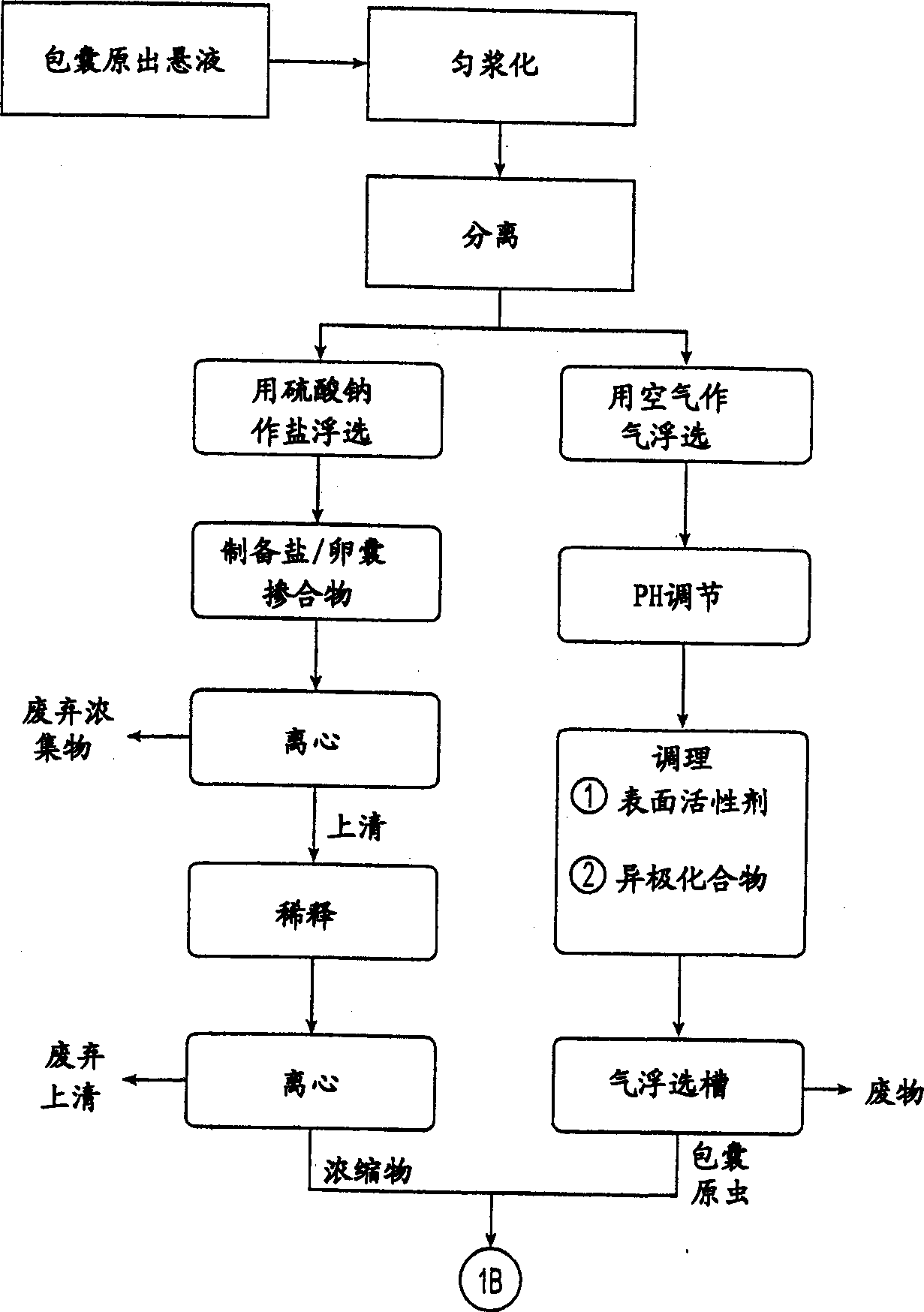 Method for the purification, recovery, and sporulation of cysts and oocysts