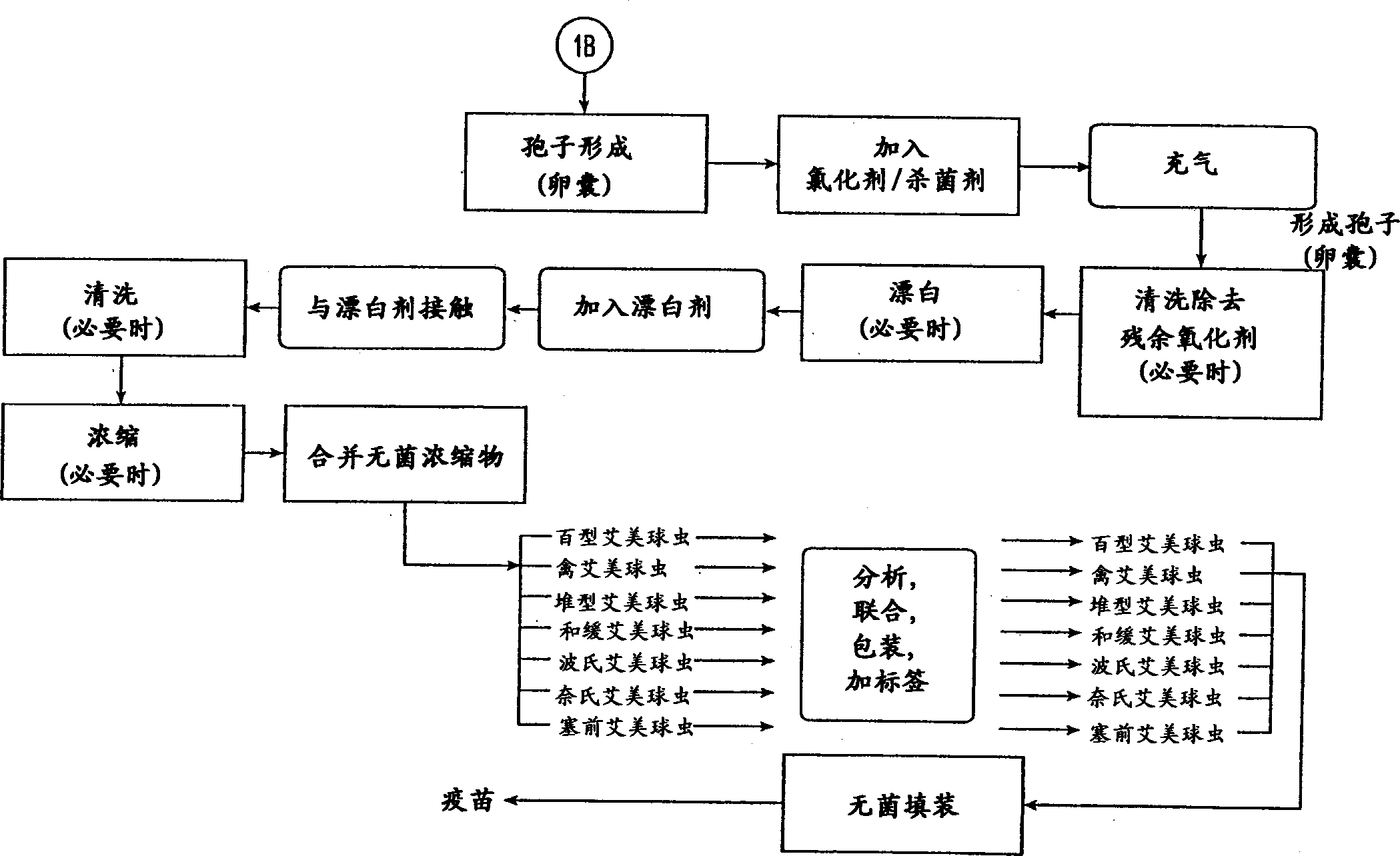 Method for the purification, recovery, and sporulation of cysts and oocysts