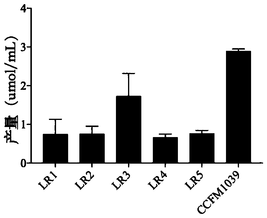 Lactobacillus rhamnosus capable of regulating and controlling relative abundance of acinetobacter in intestinal tracts