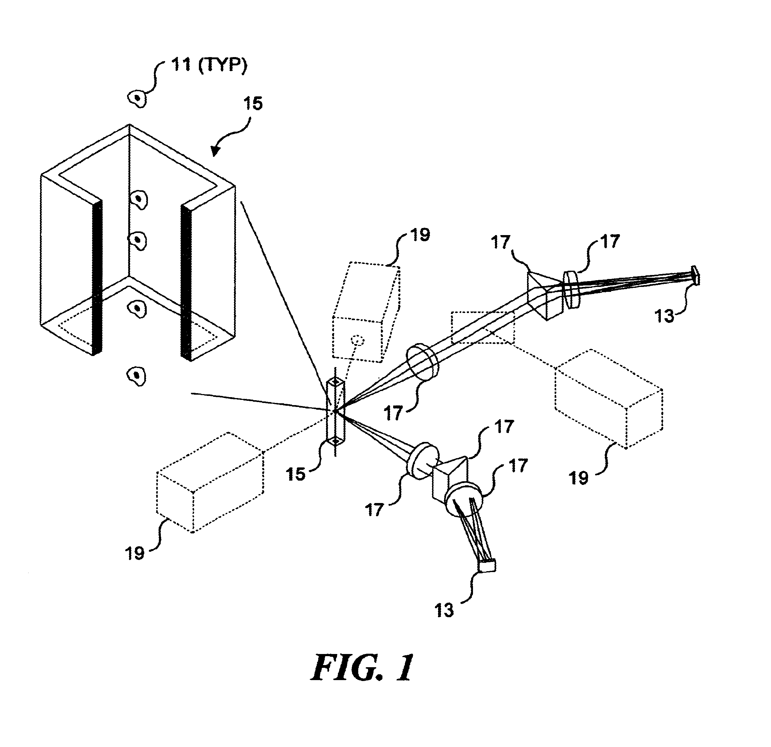 Method and apparatus for reading reporter labeled beads