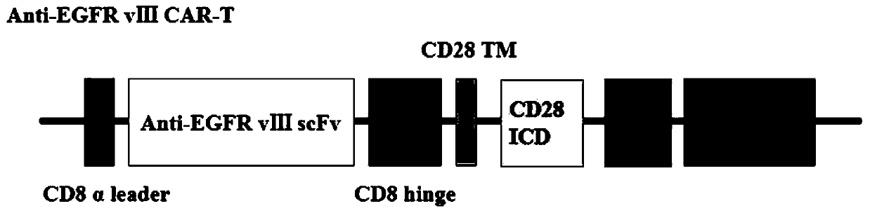 Combination of oncolytic virus and car-t for the treatment of solid tumors