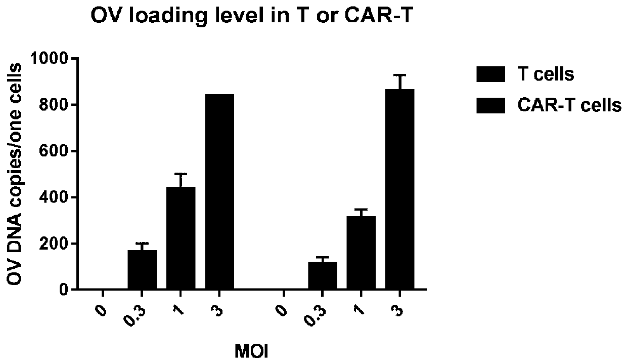 Combination of oncolytic virus and car-t for the treatment of solid tumors