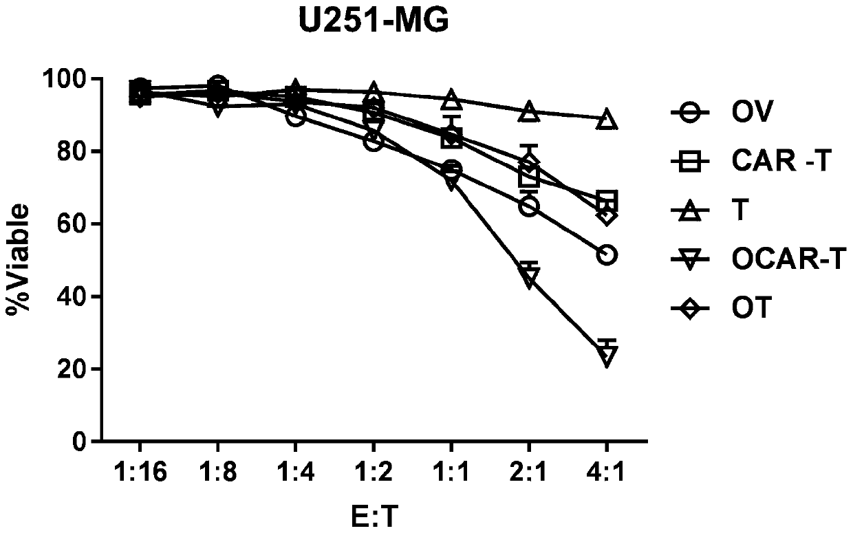 Combination of oncolytic virus and car-t for the treatment of solid tumors